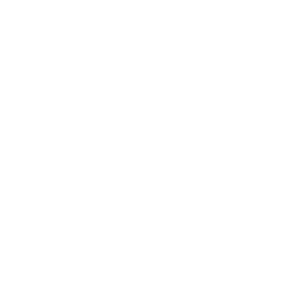 IM WITH 88
